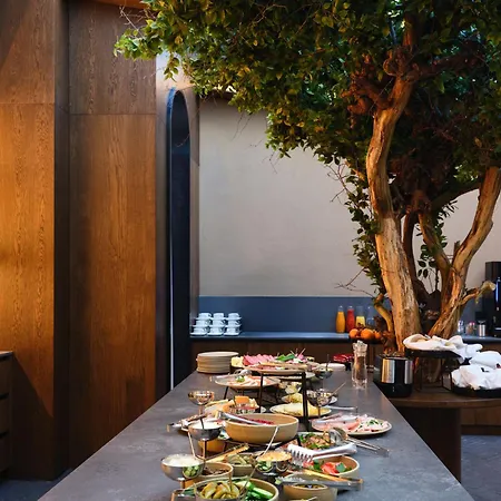 Reja, A Member Of Design