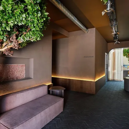 Reja, A Member Of Design