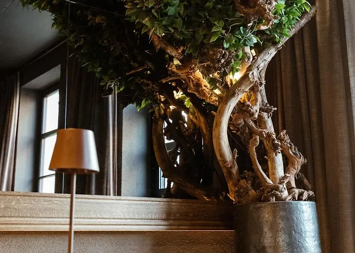 Ξενοδοχείο Reja, A Member Of Design Κλαϊπέντα